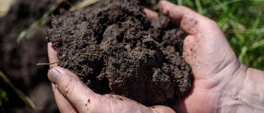 SOILTEQ Club 1