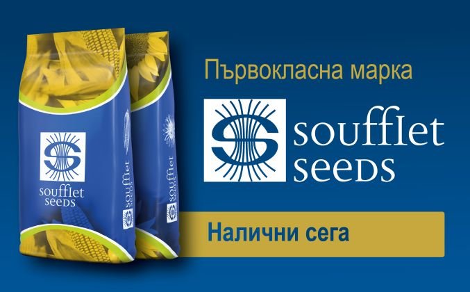 BG - banner web SFS 300 dpi 677x420.jpg