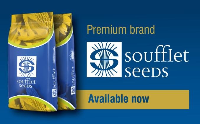 BG - banner web SFS 300 dpi SC ENG 677x420.jpg