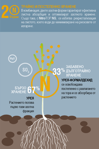 Nitrotop BULGARIA 01.png